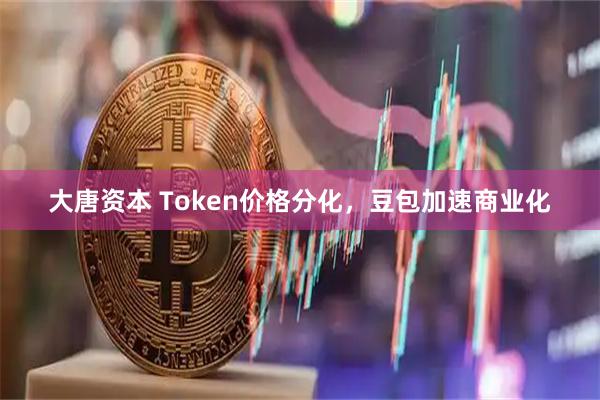 大唐资本 Token价格分化，豆包加速商业化